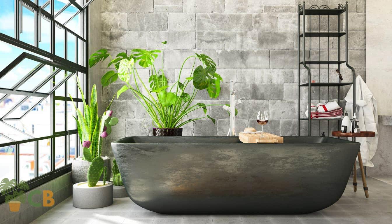 Decorative indoor plants in a bathroom Lounge
