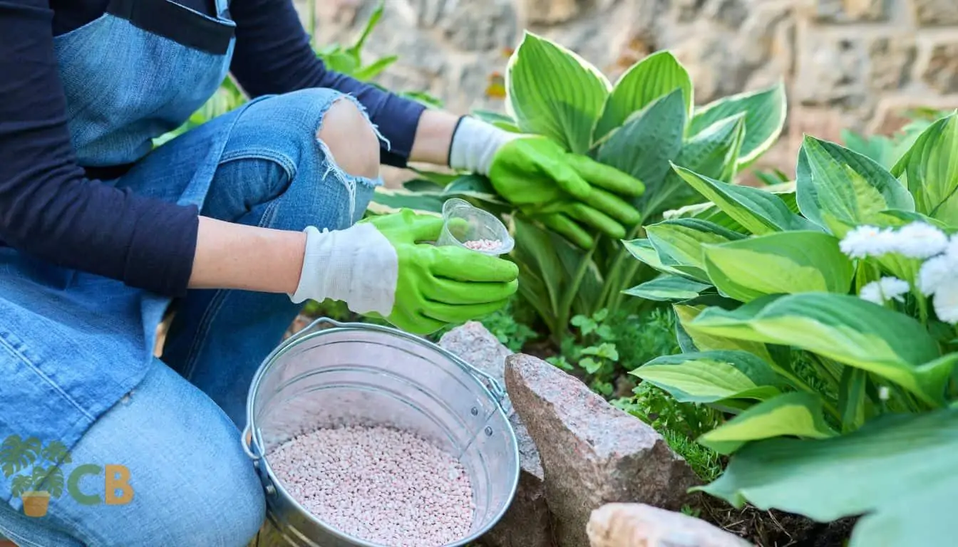 what plants don't like epsom salt