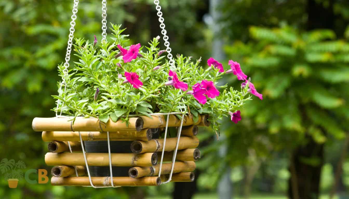 Hanging flowers in bamboo holder