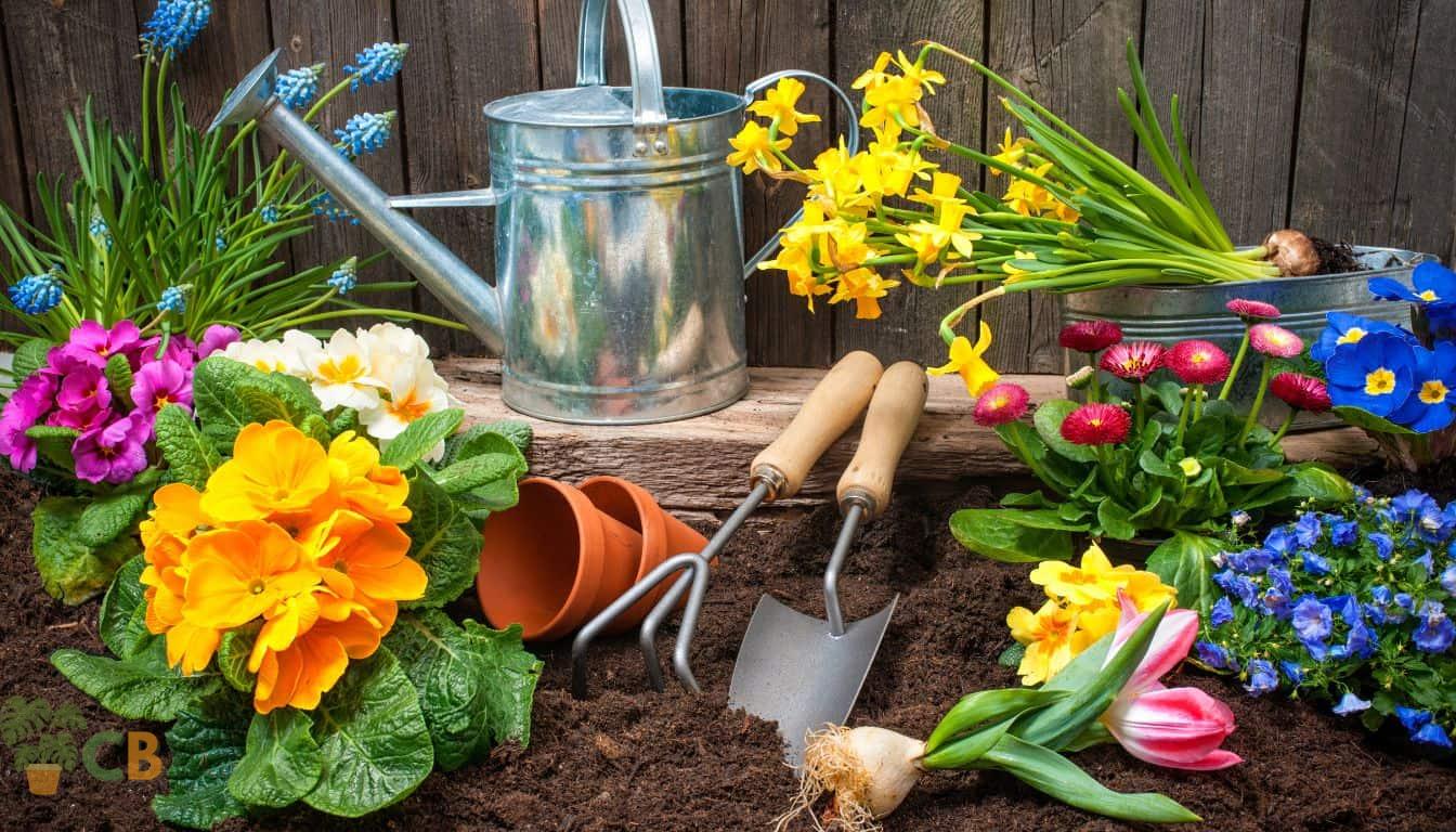 Flowering balcony garden