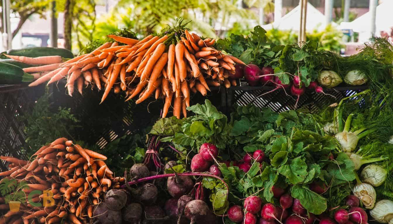 Carrots and radish