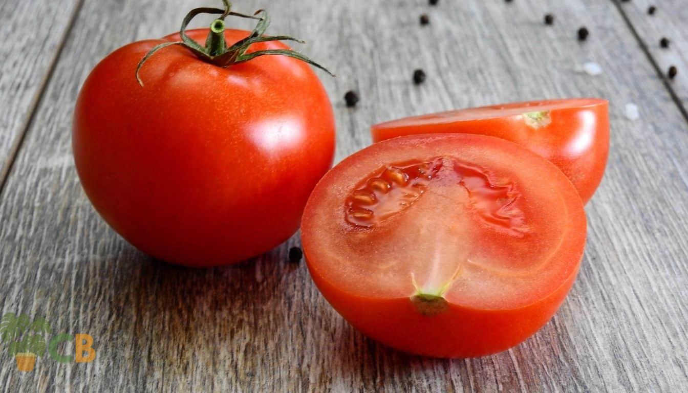 Freshly sliced tomatoes