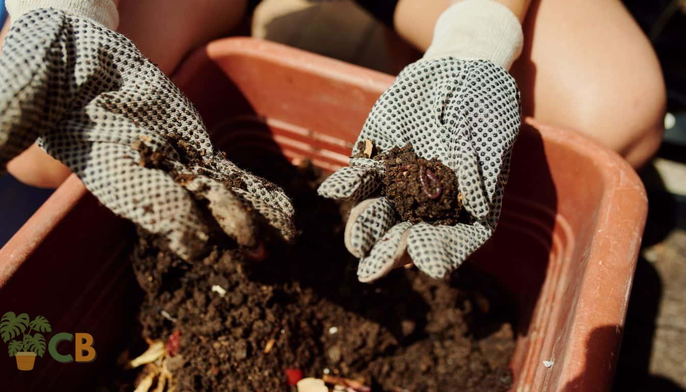 Mixing compost with coffee granules and eggshells