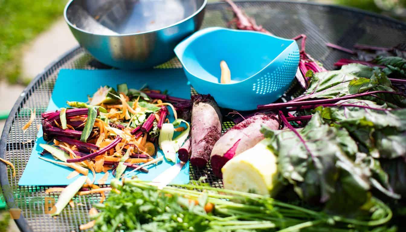 Various kitchen food scraps used for composting