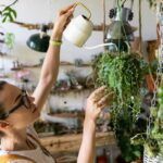 How to Water Hanging Plants? Easy Watering and Maintenance Tips