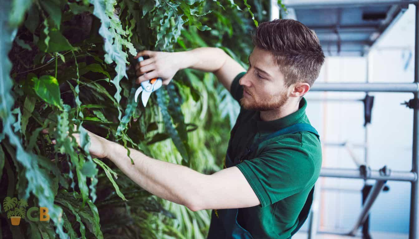 Maintaining Vertical Gardens