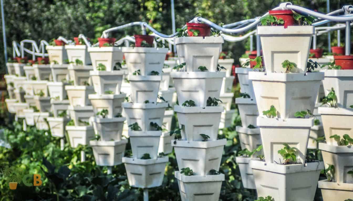 Vertical Gardening  - Tower Gardens