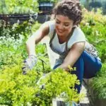 How to Make Plants Grow Faster With These Easy Tips