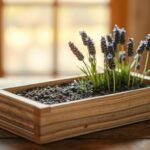 When to Plant Lavender Seeds – Best Times and Tips